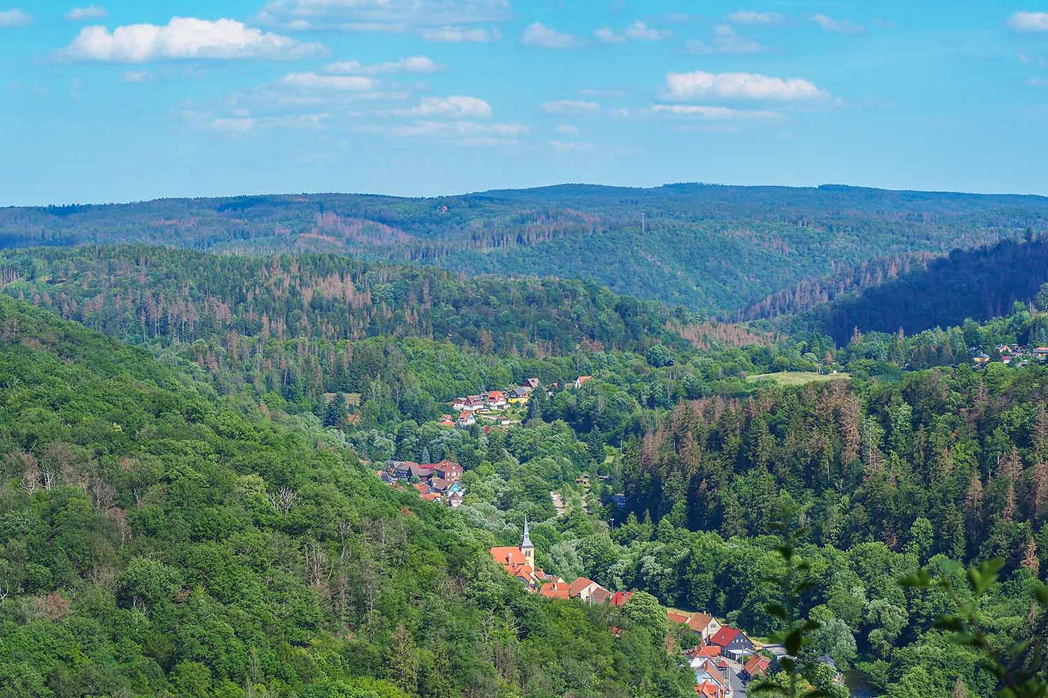 Bildergalerie
