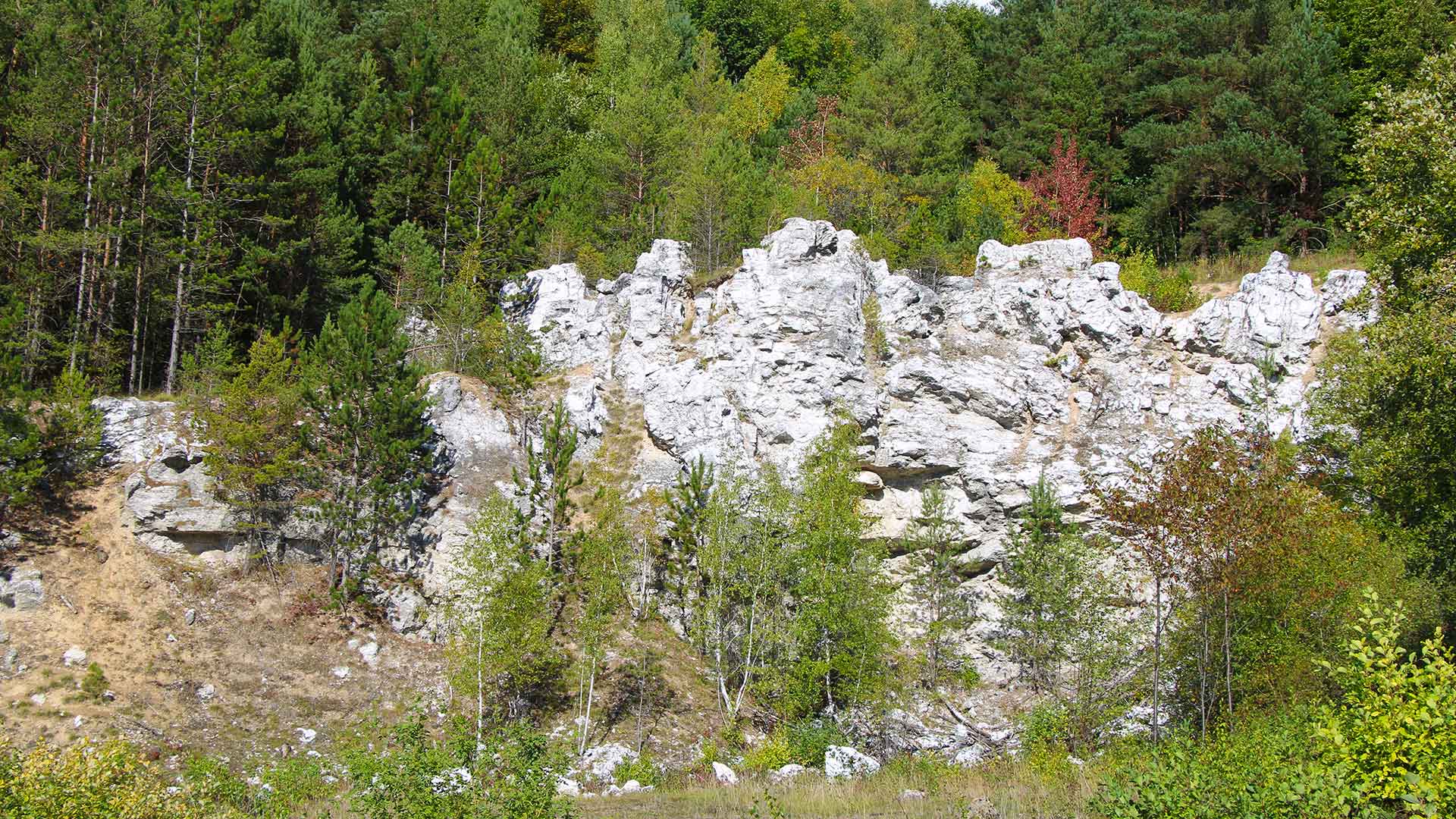 Gips – mehr als weißes Pulver